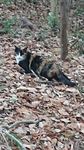 DSC_2272.JPG