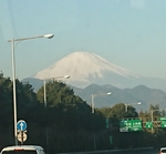 IMG_qollm1.jpg