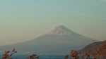 DSC_2407.JPG