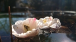 20190202_095205.jpg