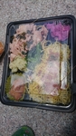 DSC_1074.JPG